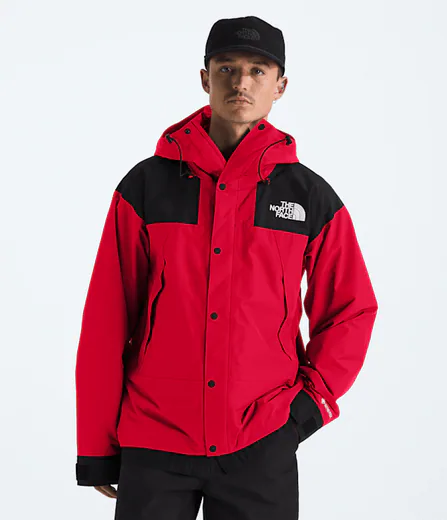 The North Face Men's GORE-TEX Mountain Jacket